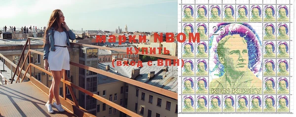 крисы Вязьма